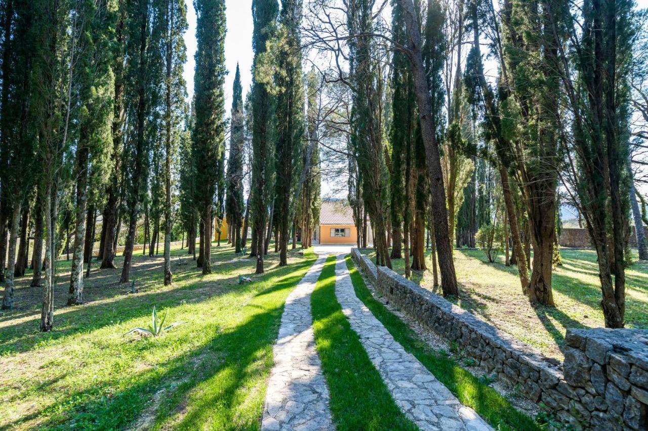 Villa Agave Gruda Eksteriør bilde