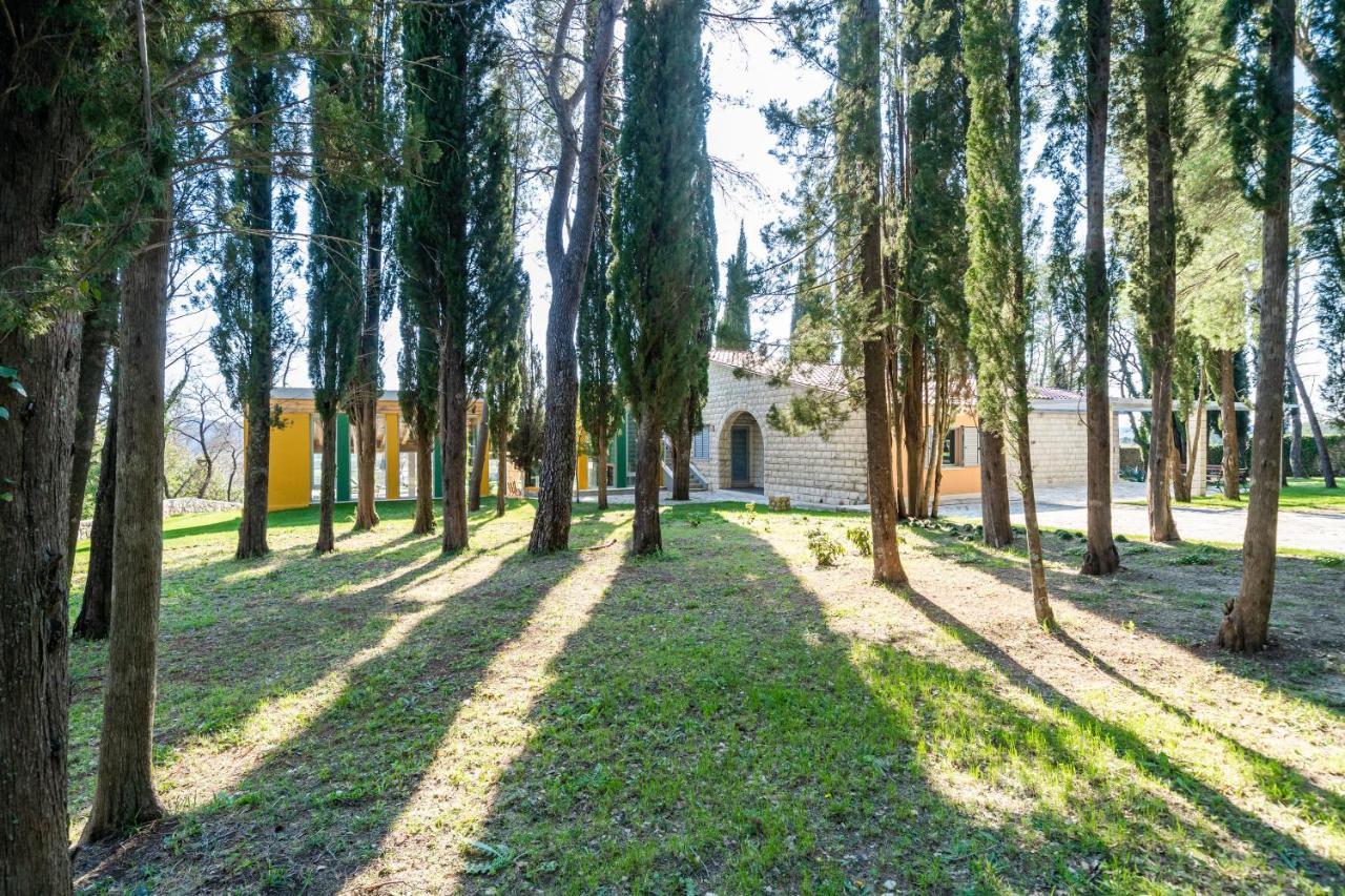 Villa Agave Gruda Eksteriør bilde